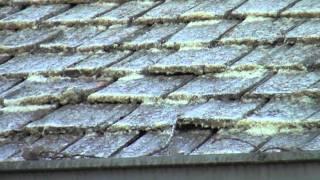 Cedar Roof Cleaning | Removing Lichen | Sullivan Roof Cleaning