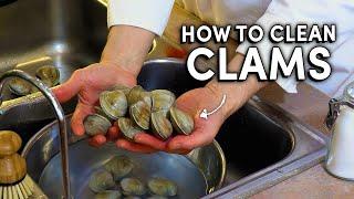 How to clean and wash clams