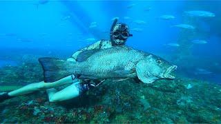 Spearfishing Offshore Oil Rigs CUBERA Snapper! Gulf of Mexico 2021