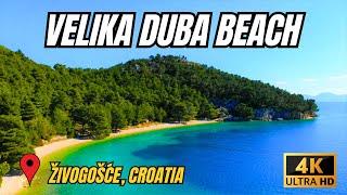 VELIKA DUBA BEACH - ŽIVOGOŠĆE, CROATIA 4K