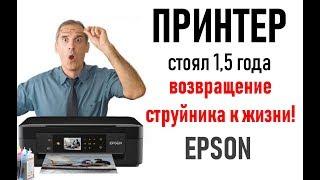 Возвращение струйного принтера к жизни после 1,5 лет простоя без картриджей!