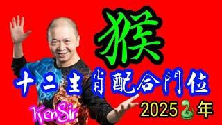 ️《猴》｜2025蛇年十二生肖｜《猴》配合家居環境｜生肖配八門吉兇｜宅命相配｜環境能量｜#2025蛇年 #生肖猴