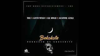 bakokota by TDE team