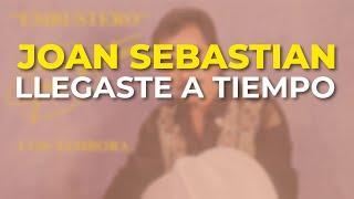 Joan Sebastian - Llegaste a Tiempo (Audio Oficial)