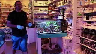 All Of Our Stores Display Tanks Update