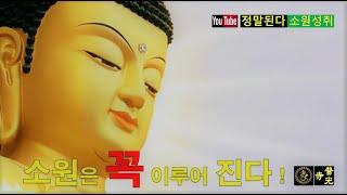 【소원성취기도/Korean Buddhism Temple】 금전운 재물운 과 소원을 들어주는 불경 (내 안의 부처님 / BoGwangTemple)