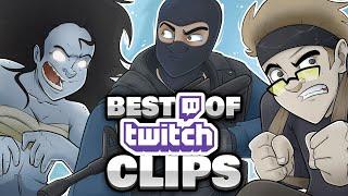 EIN FIESES KLEINES SPIEL  -  Best Of Twitch Clips #133 