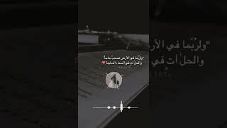 ولما فصلت العير قال ابوهم | تلاوة ترقق القلوب للشيخ #سعدون_حمادي #story #shorts