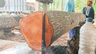 Penggergajian Kayu mahoni super besar, operator lincah cepat, dan tepat | Woodworking