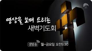 [큰나무교회]짝퉁의왕_새벽기도회20241210_담임목사김재성