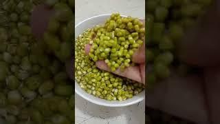 High Protein Sprouted Green Moong Dal for Vegetarian | Sandhya Jaiswal