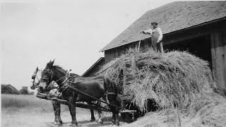 150 Years of Farming! A Look Back