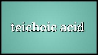 Teichoic acid Meaning