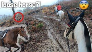 trying to help find a horse  | GO PRO HACK