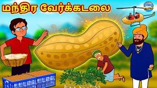 மந்திர வேர்க்கடலை | Tamil Stories | Stories in Tamil | Tamil Kathaigal | Magic Land Tamil Stories