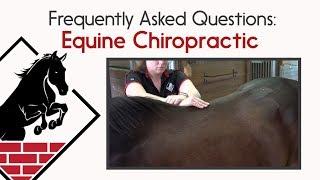 Equine Chiropractic- Frequently Asked Questions!