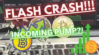 Crypto Market FLASH CRASH!