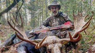 I Shot a Bull Moose at 12 Feet with a Longbow and Wood Arrows | Traditional Archery Bow Hunt