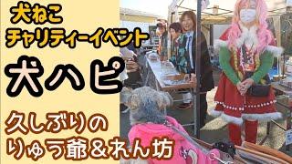 【犬ハピ】りゅうが使えなかった大量おむつを、保護犬・保護ねこちゃんに届けるぞ！