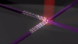 World's first ultra-fast photonic computing processor using polarization