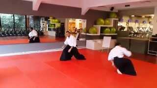 Hasan Mert Bozdoğan Sensei & Dursal Uysal Senei / Aikido Free Style Techniques