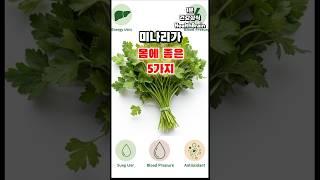 미나리가 몸에 좋은 이유 5가지  당신이 몰랐던 건강비밀!  #건강푸드 #자연치유 #한국식재료 #헬스정보 #건강식단 #쇼츠건강정보
