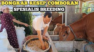 BONGKAR RESEP COMBARAN PETERNAK SAPI BREEDING SUKSES‼️