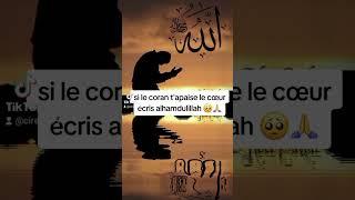 Coran #quran_alkarim #نقاء_استديو