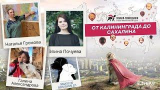 Кто следит за собаками-поводырями?
