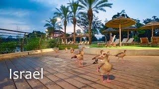 Reconnecting with Nature in the Center of Israel. Ramat Gan National Park in the Early Morning.