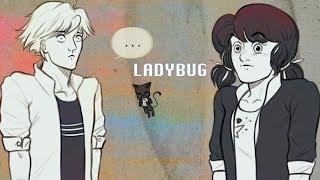 PLAGG Did A BAD THING | Miraculous Ladybug Comic Dub