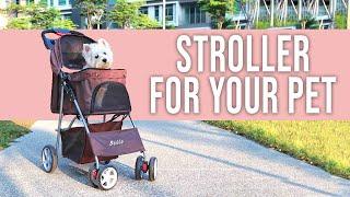 Best Pet Stroller for Your Pets Outdoor Trip