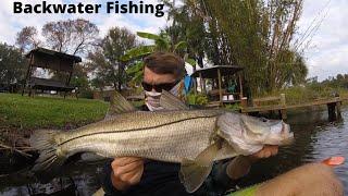 Backwater Snook and Tarpon Fishing