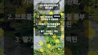 # 수두, 유행성이하선염에 좋은 음식 