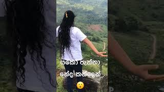 යකෝ පැන්නා නේද කන්දෙන් පල්ලට මේකී 