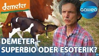 Demeter: Wie viel Esoterik steckt im Bio-Label? | Galileo | ProSieben