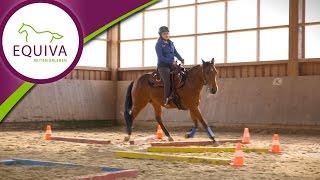 Westernreiten: Training für das erste Turnier