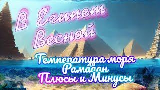 Стоит ли ехать в Египет? Температура, ЦЕНЫ, Море, Рамадан  Плюсы и минусы