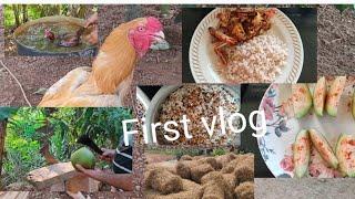 My first vlog || first vlog without showing face || Nature