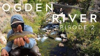 Rating River Episode 2: The Ogden River (Utah Fly Fishing)