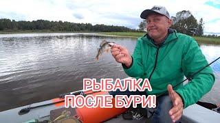 Ловля окуня. Рыбалка после урагана.