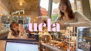 ucla vlog | busy days with midterms, coffee shops, galentines, & more 