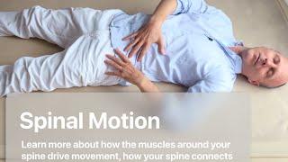 Spinal Motion: Everything is connected