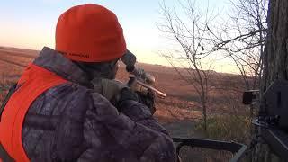 OPENING DAY OF THE ILLINOIS FIREARM SEASON | CENTRAL ILLINOIS BUCK WITH A MUZZLELOADER