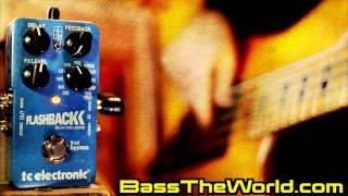 TC ELECTRONIC FLASHBACK DELAY BASS DEMO | BassTheWorld.com