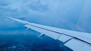 TYPHOON LANDING | All Nippon Airways Amazing Crosswind Landing at Tokyo Narita!