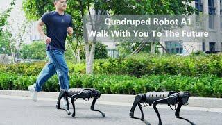 Quadruped robot A1 walk with you to the future