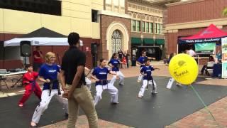 Vortexic Martial Arts Demo. Summer fest Katy 2015 part 1