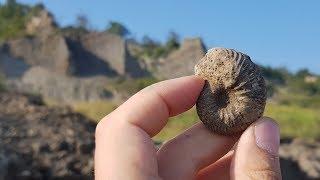 [Fouille Fossile] - Les Falaises des Vaches Noires, le retour