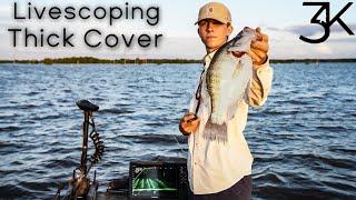 Livescoping Grenada Lake Giants